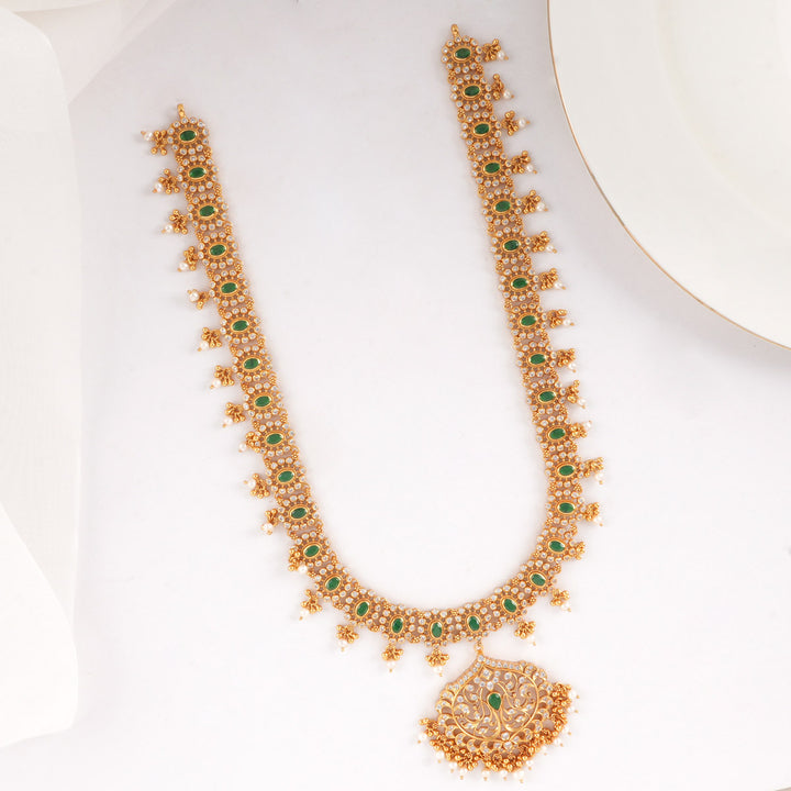 Dhishka Stone Long Necklace