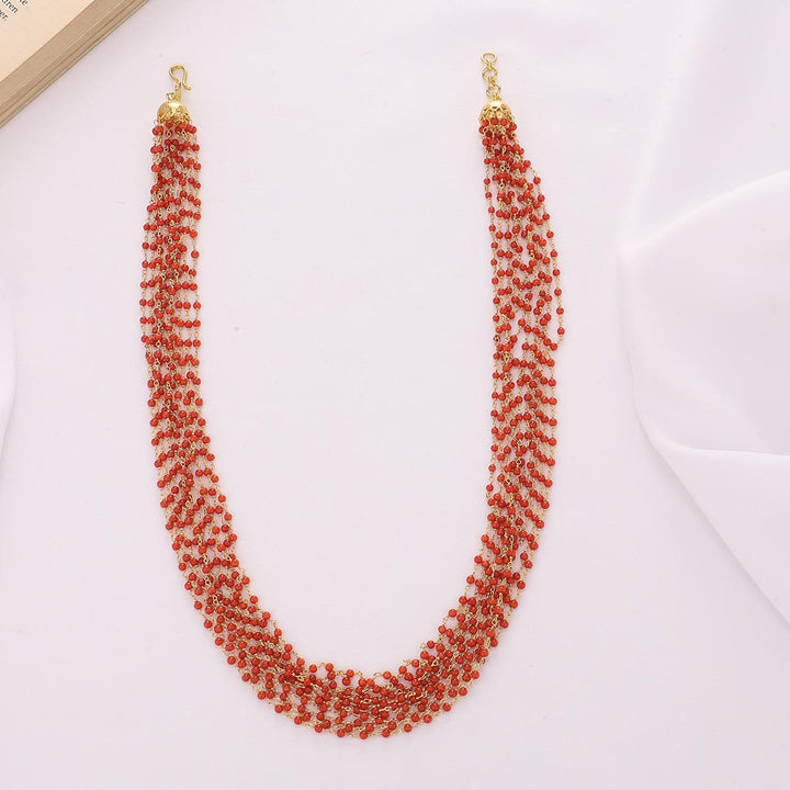 Fabulous Long Necklace