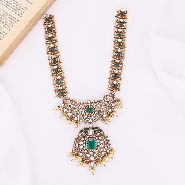 Adorable Victorian Long Necklace