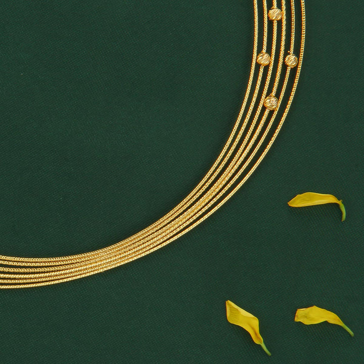 Dainty Charm Hasli Necklace