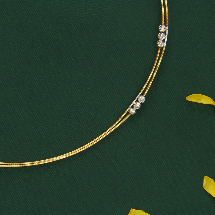 Tejaswini Hasli Necklace