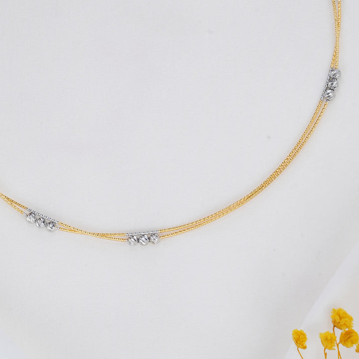 Devanshi Hasli Necklace