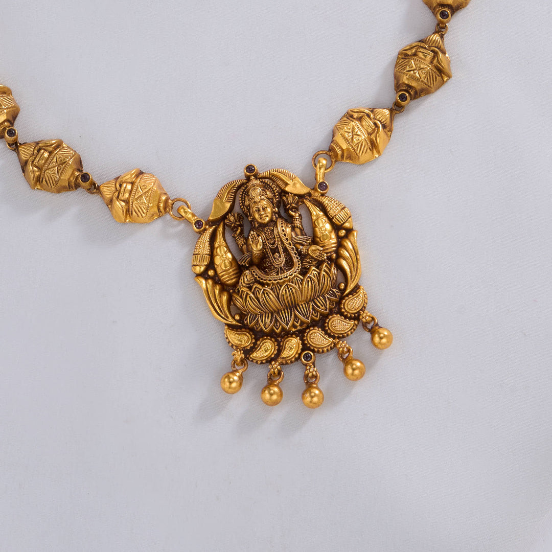 Vithisha Nagas Long Necklace