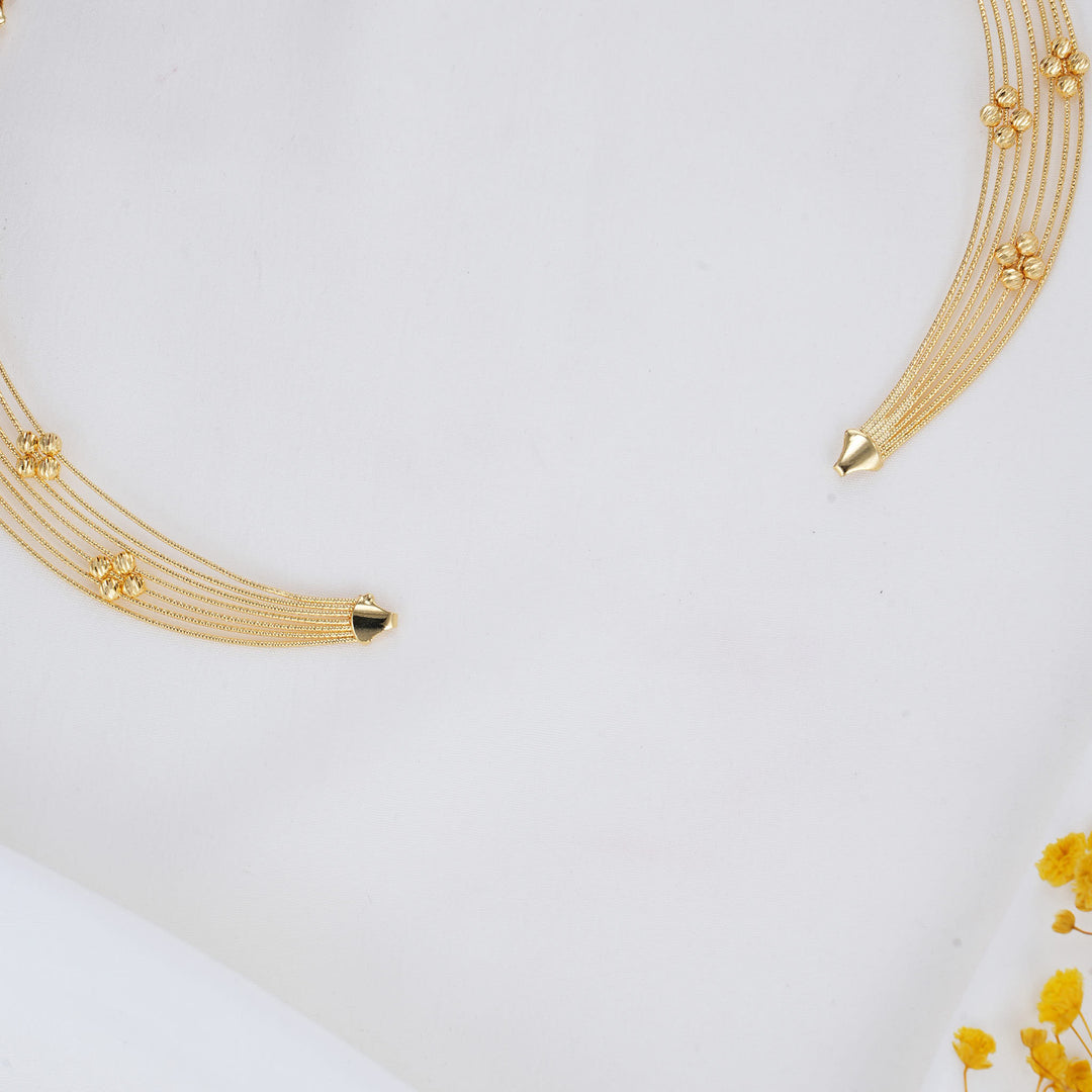 Pravinkaa Hasli Necklace