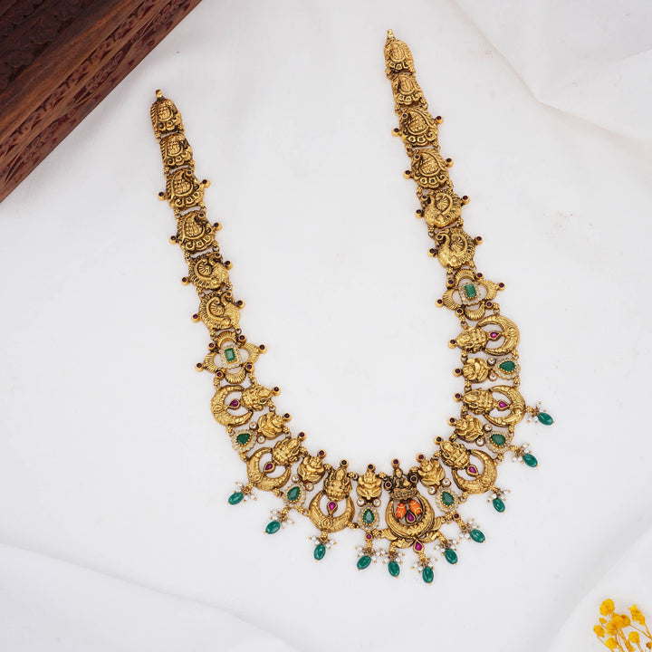 Simply Beautiful Nagas Long Necklace