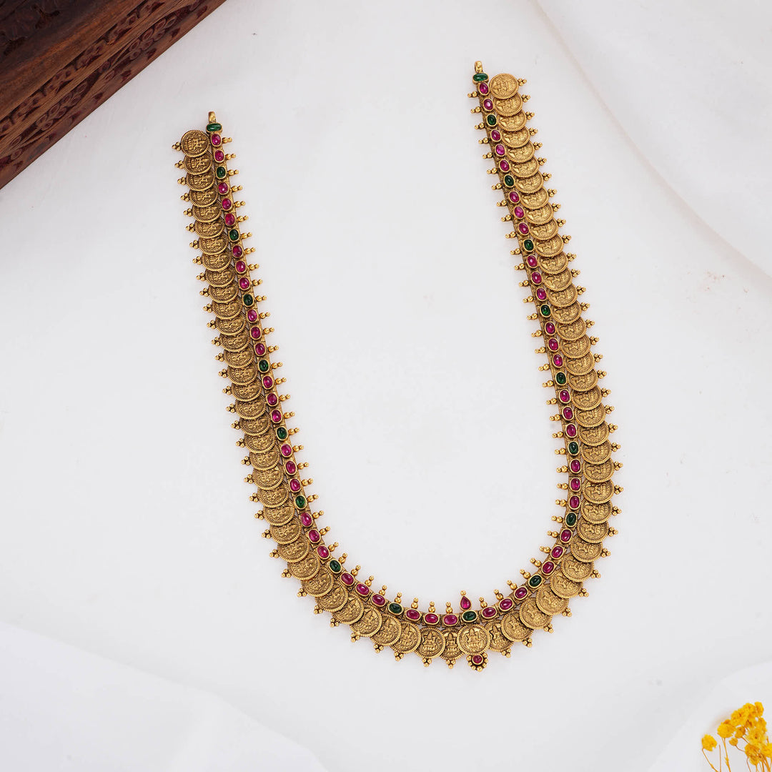 Ashvikaa Charm Nagas Long Necklace