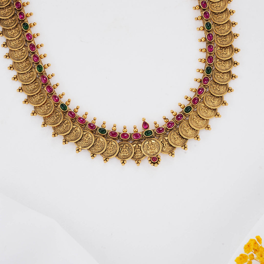 Ashvikaa Charm Nagas Long Necklace