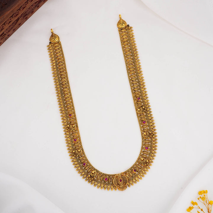 Priyankaa  Nagas Long Necklace