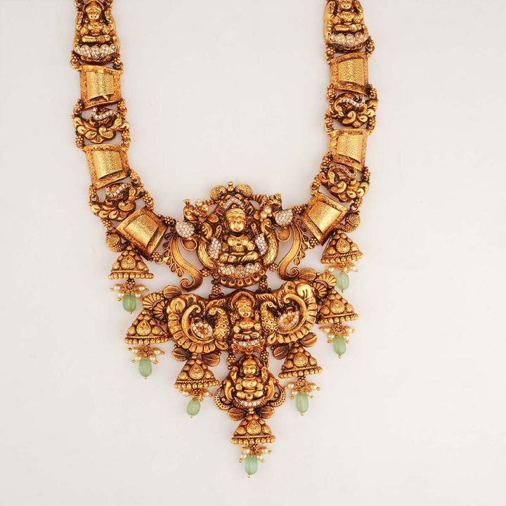 Gorgeous Look Long Necklace