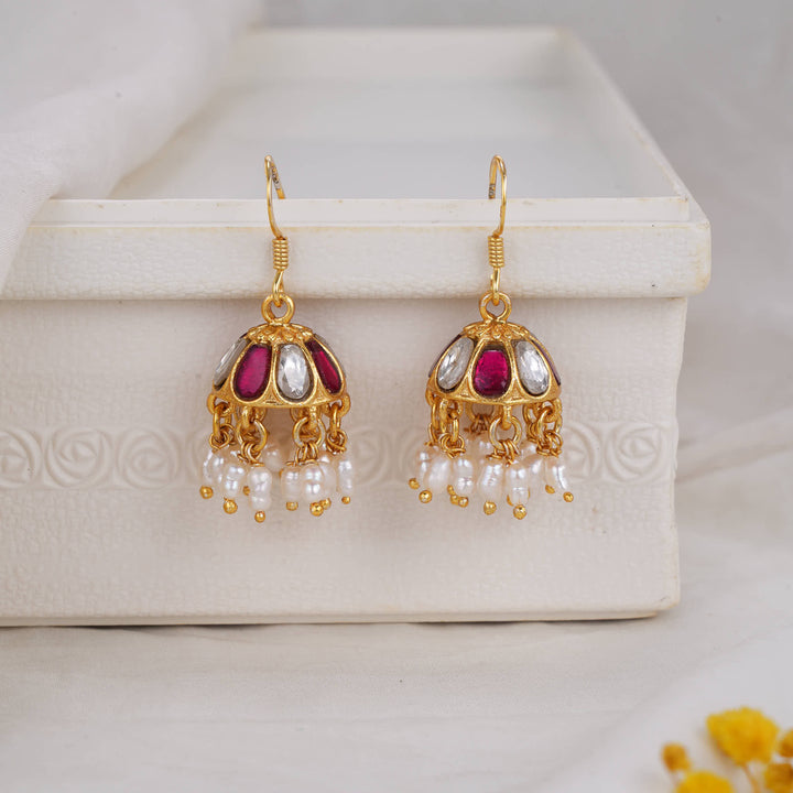 Stunning Hook Earrings