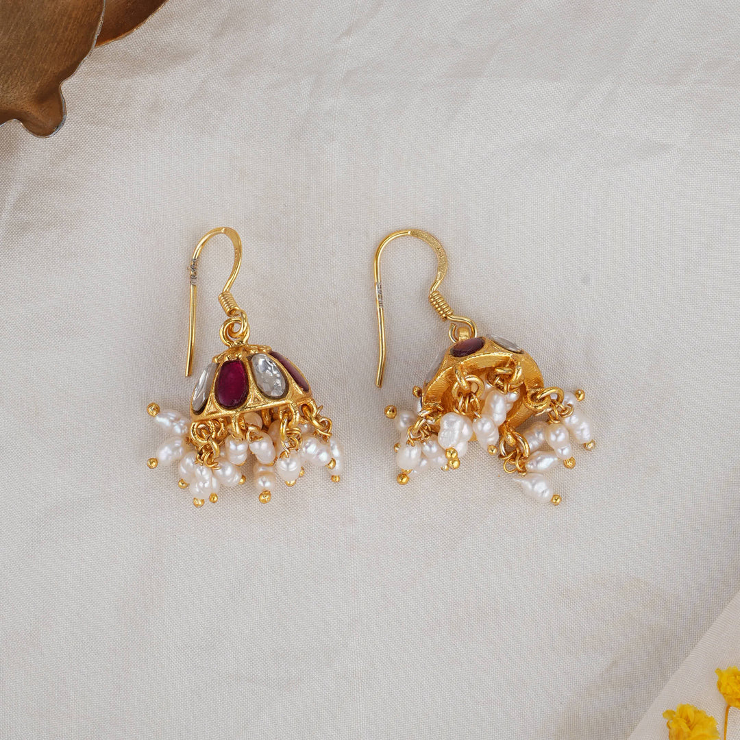 Stunning Hook Earrings