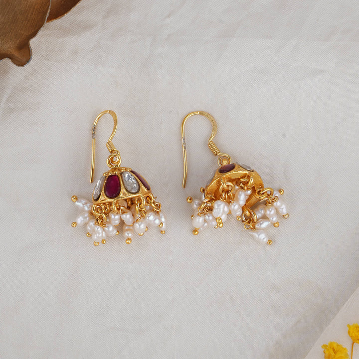 Stunning Hook Earrings
