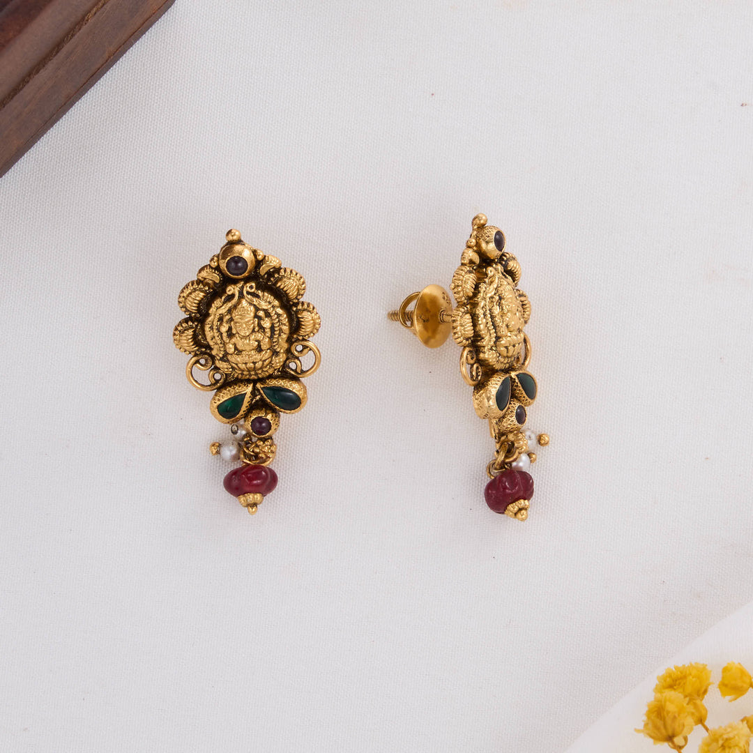 Shavisha Nagas Drops