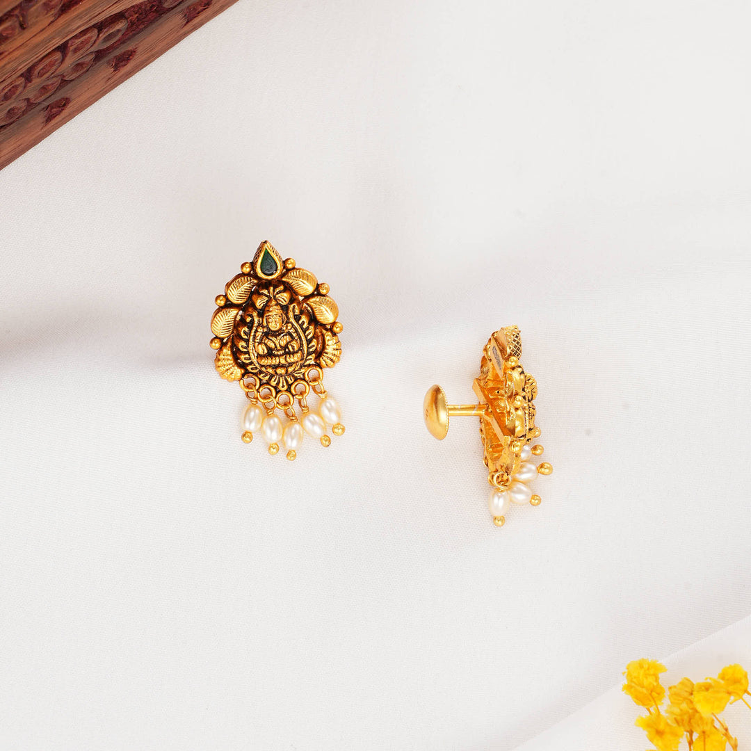 Vidhyaa Nagas Drops
