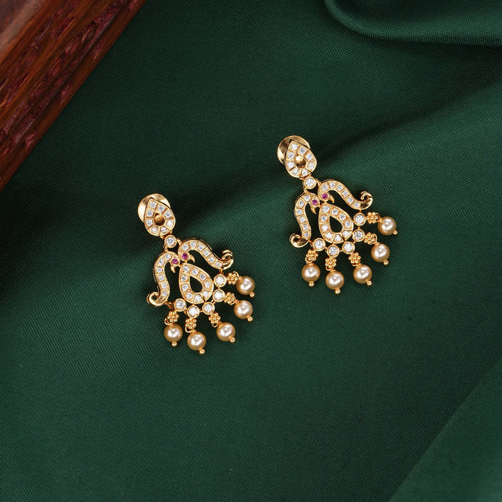 Stunning Stone Earrings