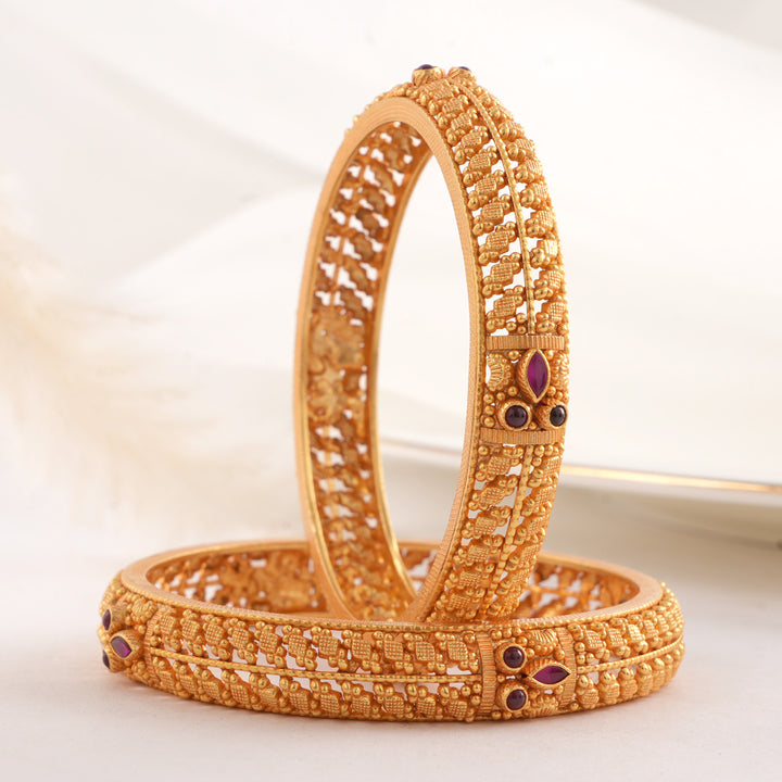 Janvikha  Pair Bangle