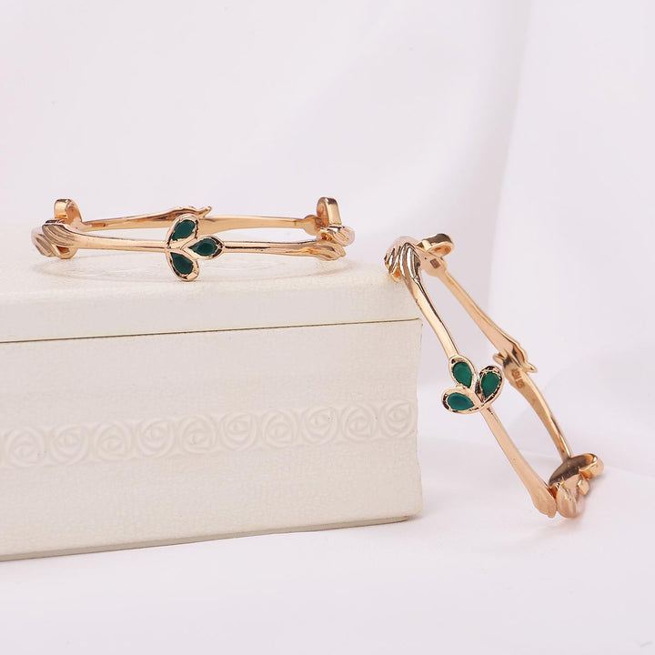 Attractive Stone Pair Bangle