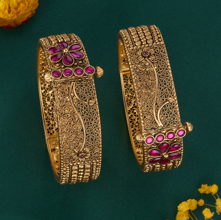 Amisha Nagas Pair Bangles