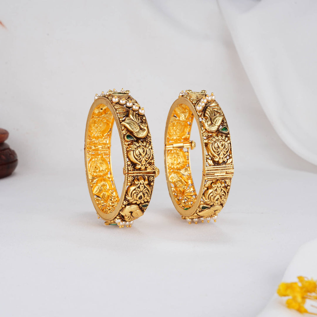 Catchy Vibrant Nagas Pair Bangles