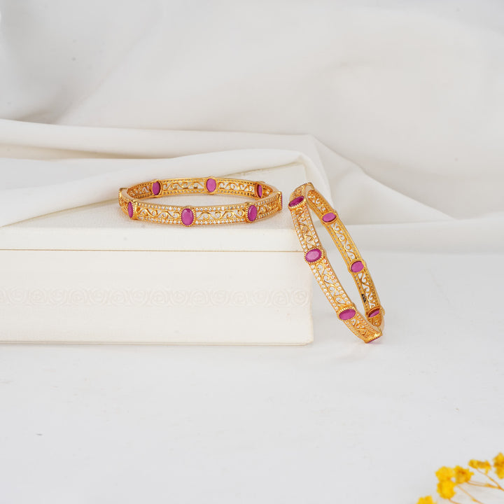 Bharvikhaa Stone Pair Bangles
