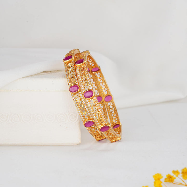 Bharvikhaa Stone Pair Bangles