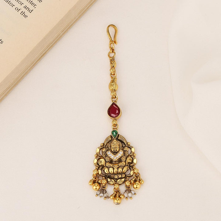 Traditional Nagas Tikka