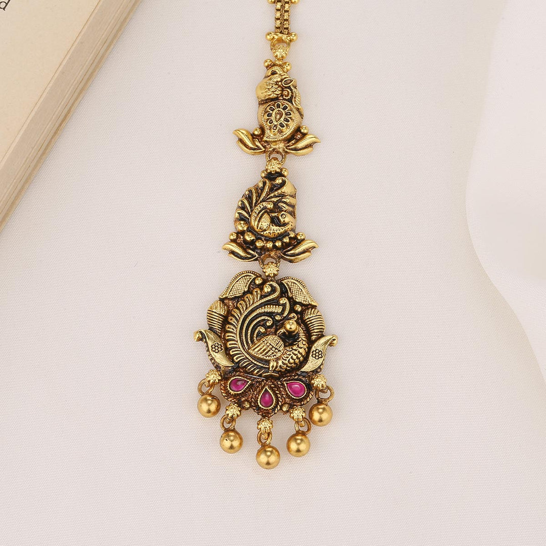 Aarvisha Nagas Tikka