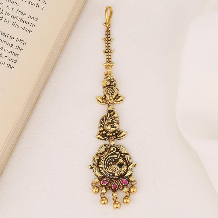 Aarvisha Nagas Tikka