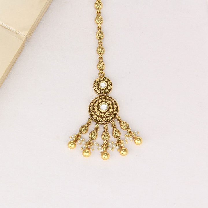 Traditional Nagas Tikka