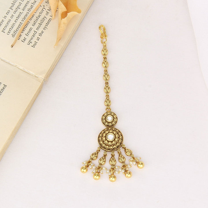 Traditional Nagas Tikka