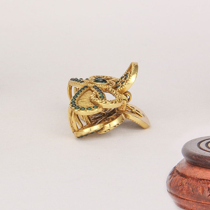 Stylish Nagas Hair Clip