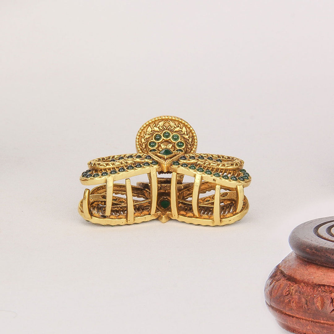 Stylish Nagas Hair Clip